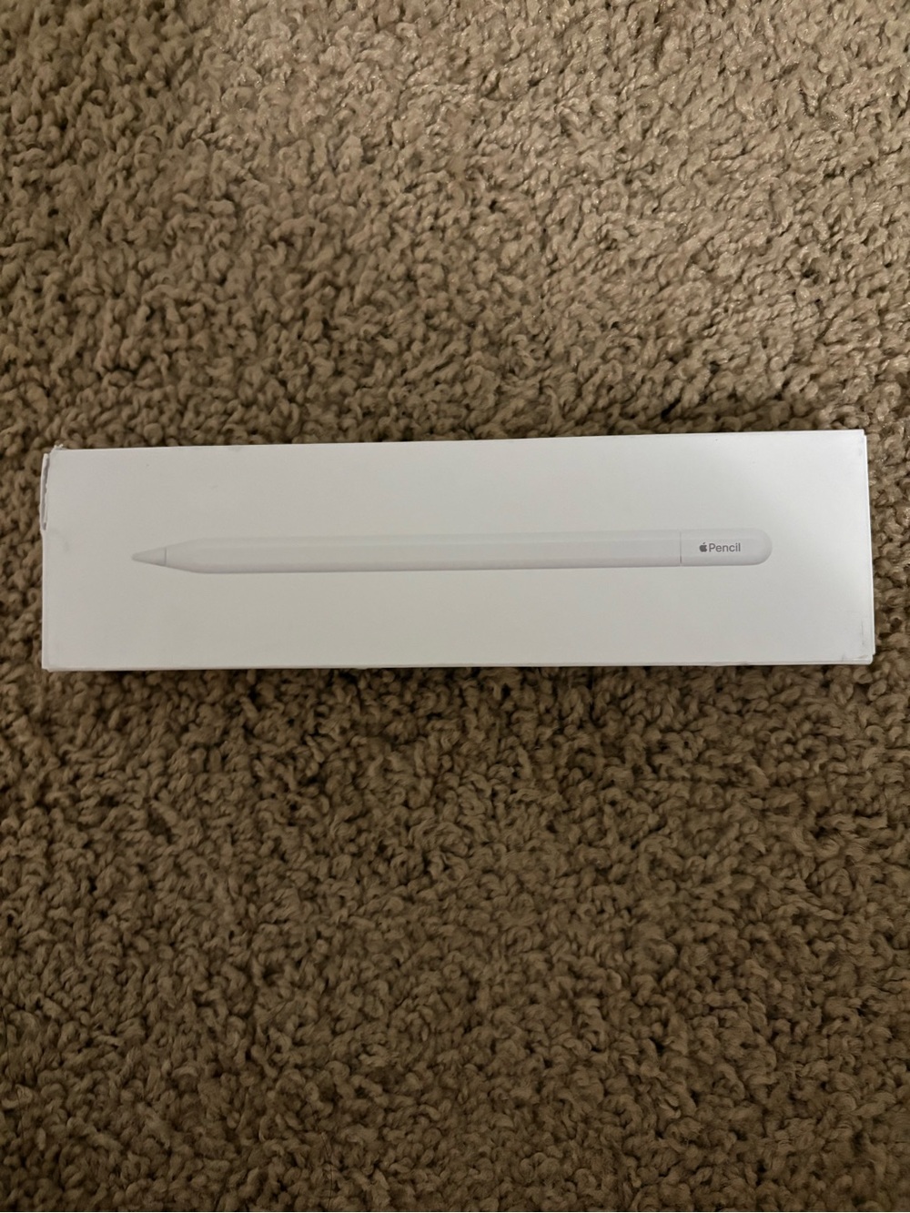 Apple Pencil (USB-C)
